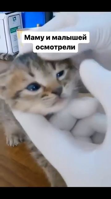 Друзья,делайте больше добрых дел!