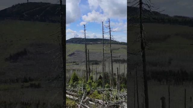 Дорога из Вернигероде на гору Брокен. Германия, горный район Харц