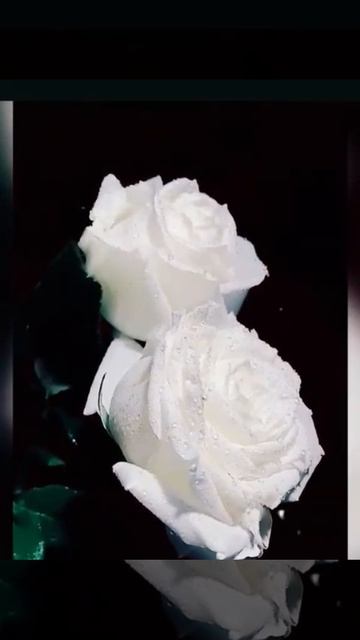 1000212747.mp4