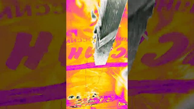 1000023988.mp4 (Собака смотрит на установку каркаса для имитации бруса внутри дома А-фрейм).
