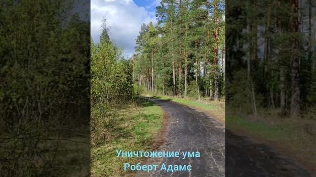 Уничтожение ума Роберт Адамс