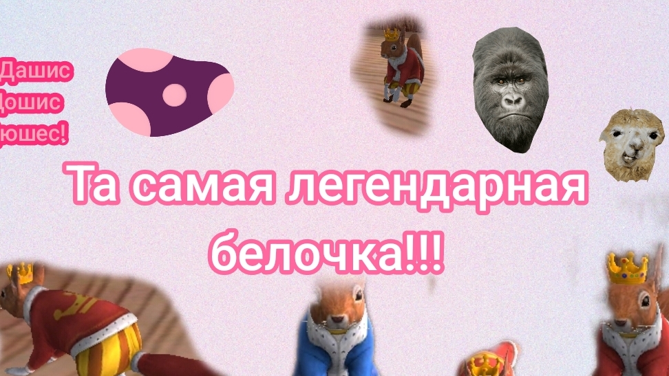 Та самая легендарная белочка!!!!