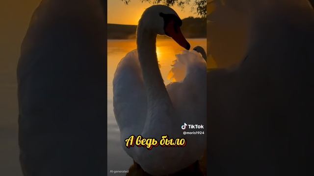 А ведь было...