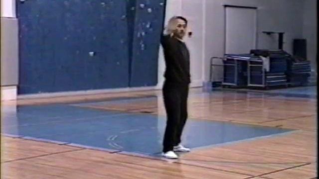 Семинар Джорджа Сю "Внутреннее кунгфу".  24 Cannon Fist