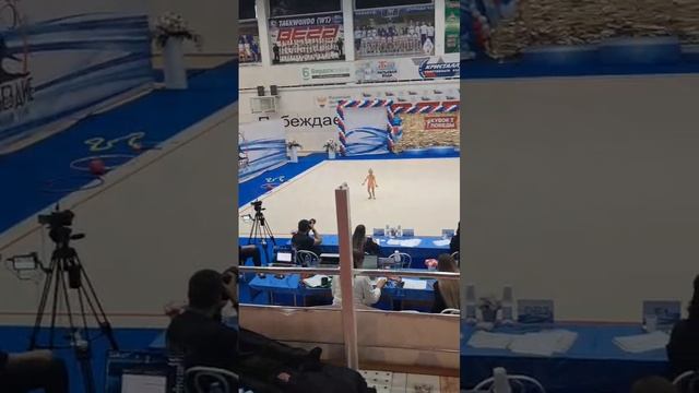 Мишель, соревнованиях