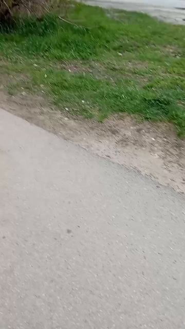 бумеранг обмана😈😈