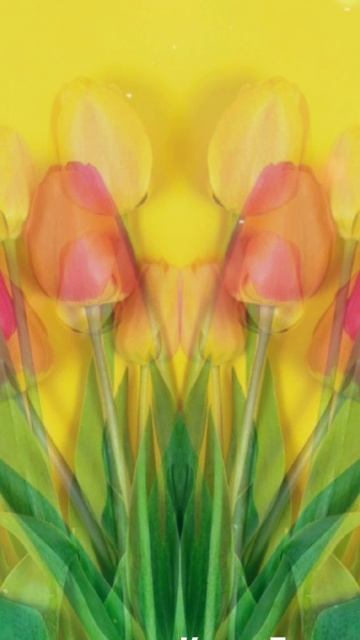 Стиль.Музоткрытка.Пожелание хорошего дня подруге.