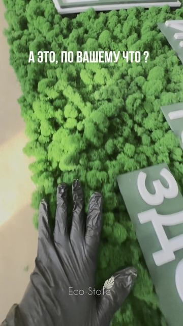 Логотип из стабилизированного мха