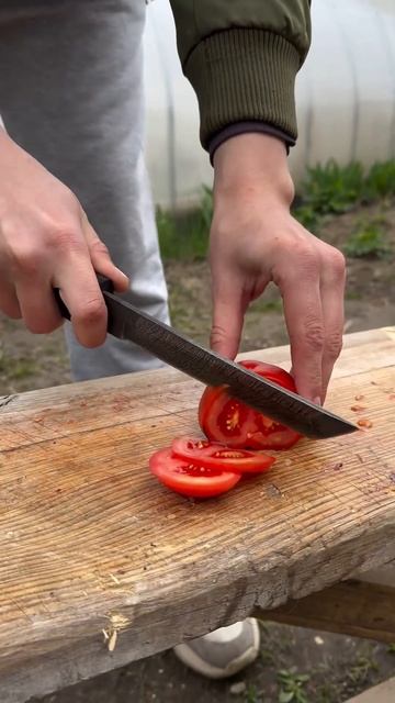 Танто с имитацией коры дерева из дамасской стали #ножи