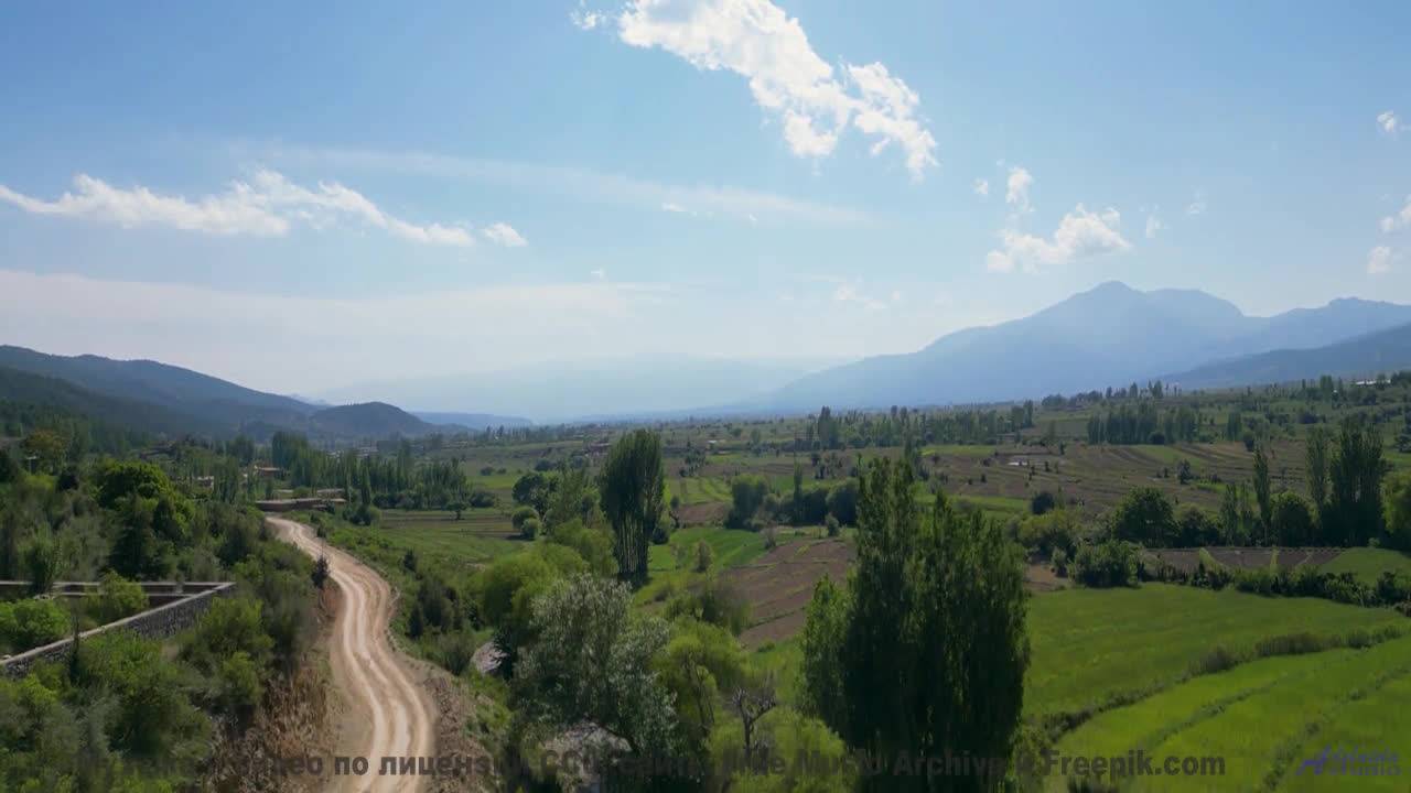 Не включай, если не готов влюбиться в Землю - Vibes of the Universe (ID 1394) -- Lobo Loco -- Spacef