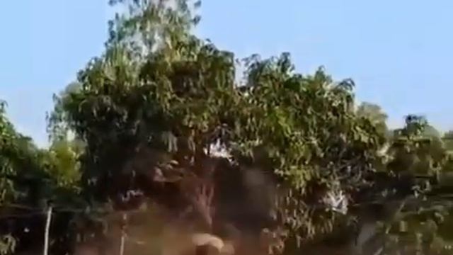 #Борьба  Национальный вид индийской борьбы ! выглядит ?