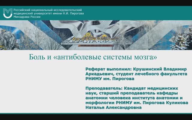 Боль и "антиболевые системы мозга"