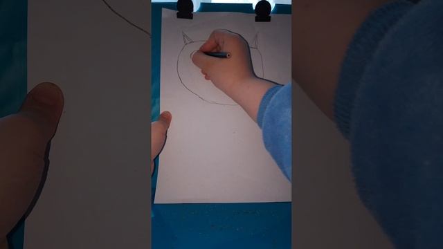 я рисую котика