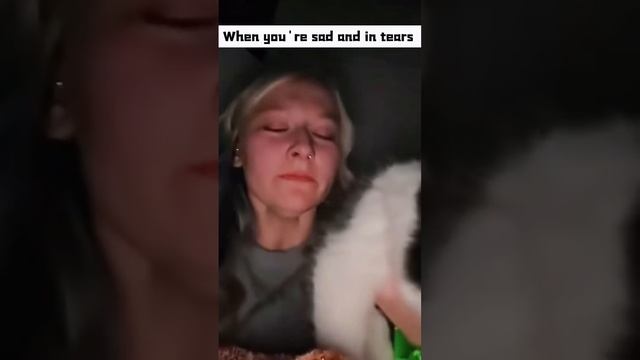 Коты лучшие помощники 😹😹