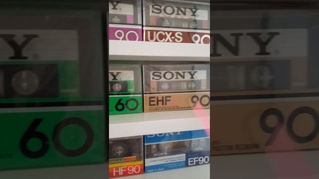 1000020929.mp4