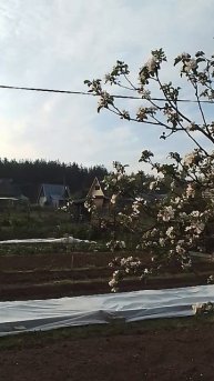 18 мая 2015 года.