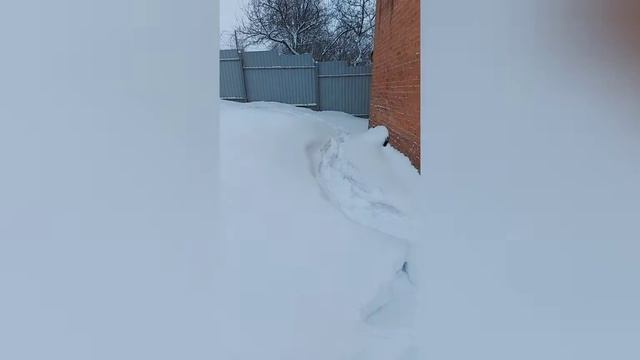 Снегоступы
