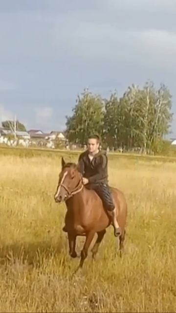 без седла