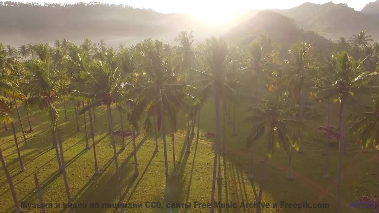 Что скрывают эти звуки - Ukulele Whistle -- Scott Holmes Music -- Happy Background Music