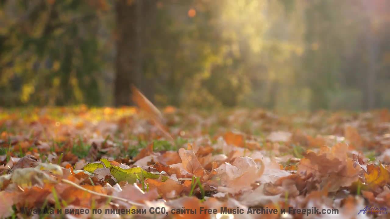 Поля под такой музыкой заставляют забыть про время - Marigold -- Evan Schaeffer -- Afterthought