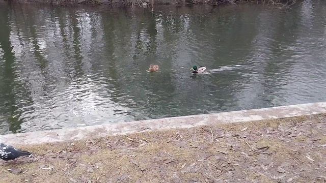 В парке Горького