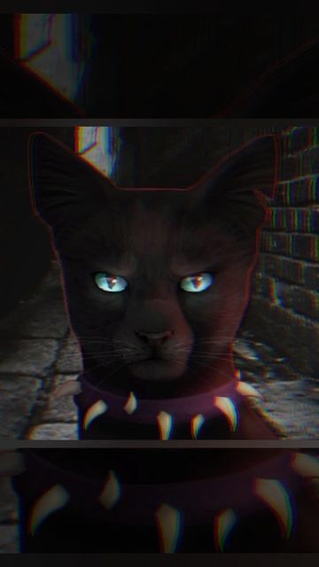 бич