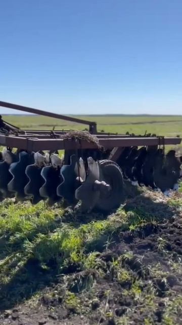 Т-70 дискует поле