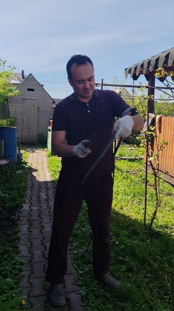 Взял в руки косу и точилку. И тут меня пробило, 🤭🤭🤭.