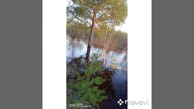 на поплавок по большой воде.