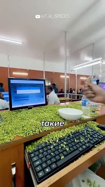 Это Самый СТРАННЫЙ Аукцион в Индии! #шортс