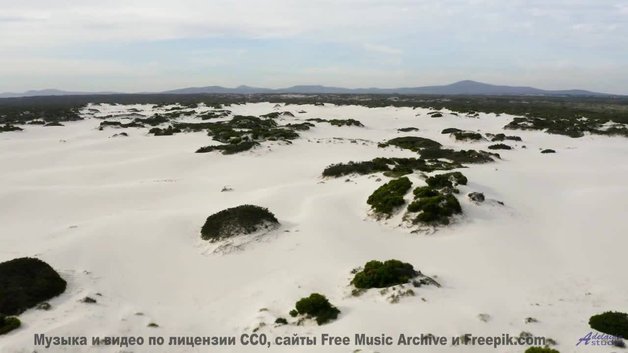 Лесные пейзажи качаются на нотах, как на волнах - I Dont Wanna Fall In Love -- Fascinations Grand Ch