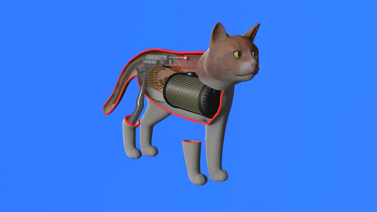 Как работает кошка