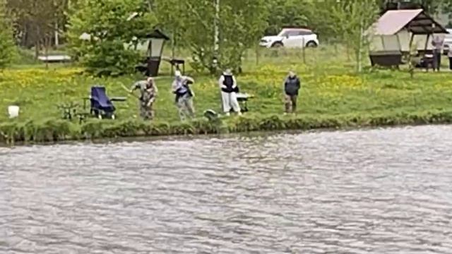 Светлые Горы Карп2 18.05.2025г