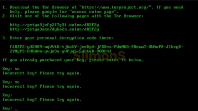 Скачал мишу на виртуалку #virus #миша #шифр