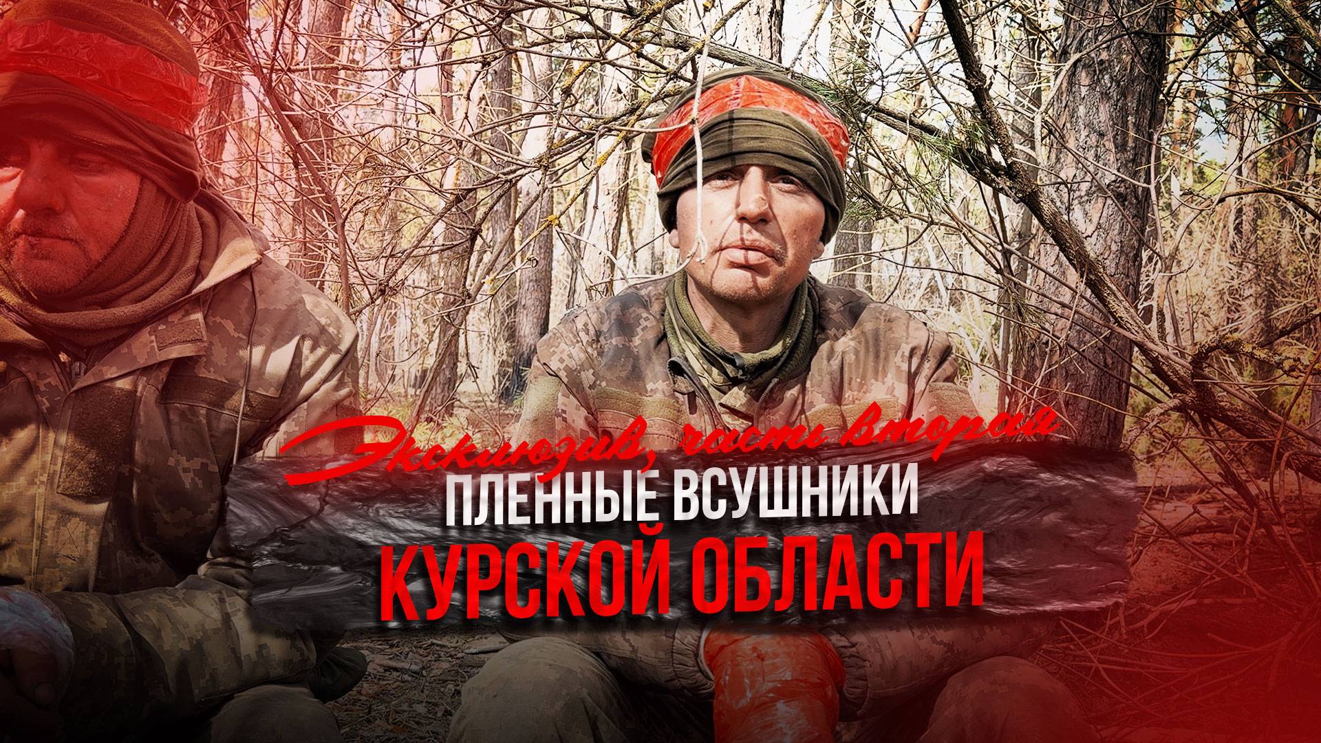 «ГРЕБУТ ВСЕХ ПОДРЯД…»