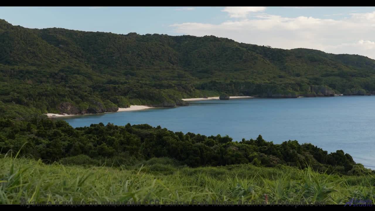 Скорость, ветер и ритм! - In The Hall Of The Ye-Ye King (Agatlebauer) -- Les Sans Culottes -- Live a