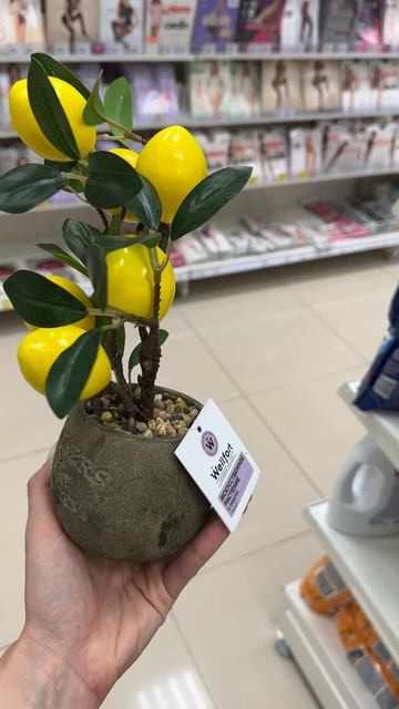 Новинки в магнит косметик