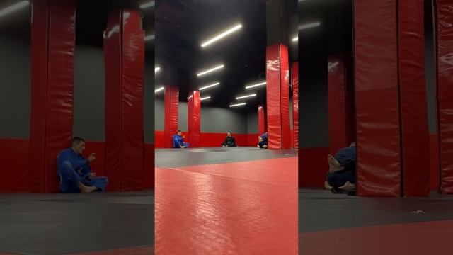 Тренировки по джиу-джитсу. 2023-08-16 20.59.54 Вечерняя, видео ?