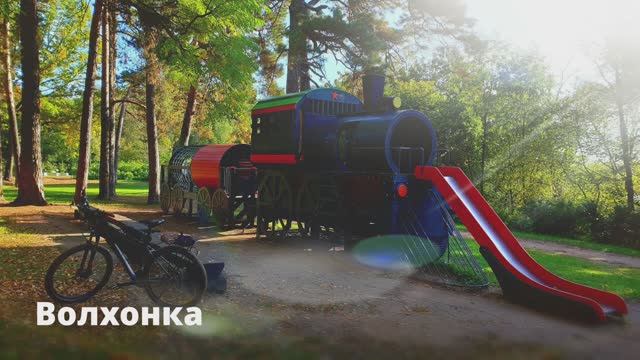 Ивы