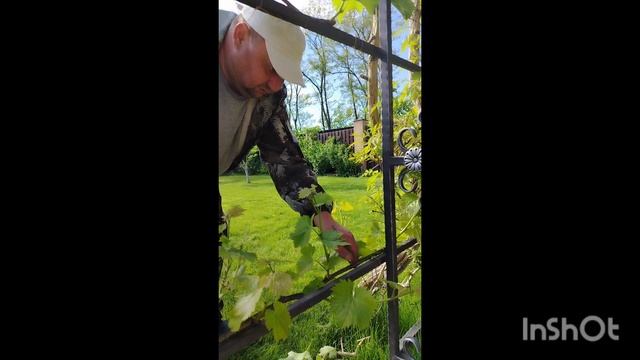 1000002895.mp4