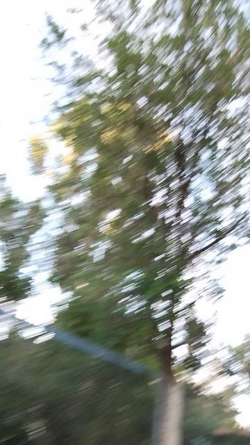 1000004729.mp4