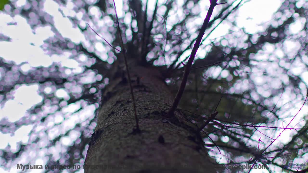 Это видео - как лучший момент из самого красивого фильма! - Tomorrow-Has-Gone -- Ketsa -- Summer Wit