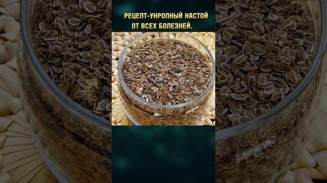 секрет тибетских врачей.укропный настой от всех болез