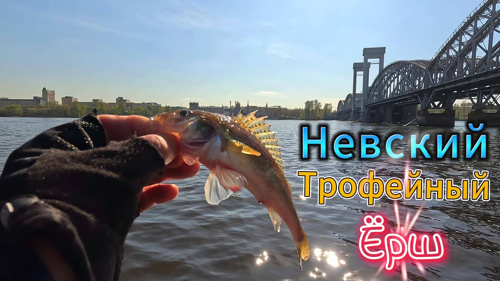ЛОВЛЯ ТРОФЕЙНОГО ХИЩНИКА РЫБНЫЙ ДЕНЬ РЕКИ НЕВЫ МАЙ 2025