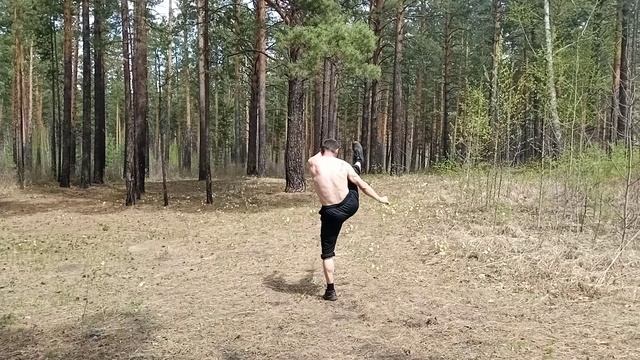 Кунг-фу и ушу 577. Спорт.