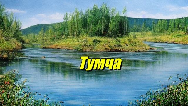 Тумча