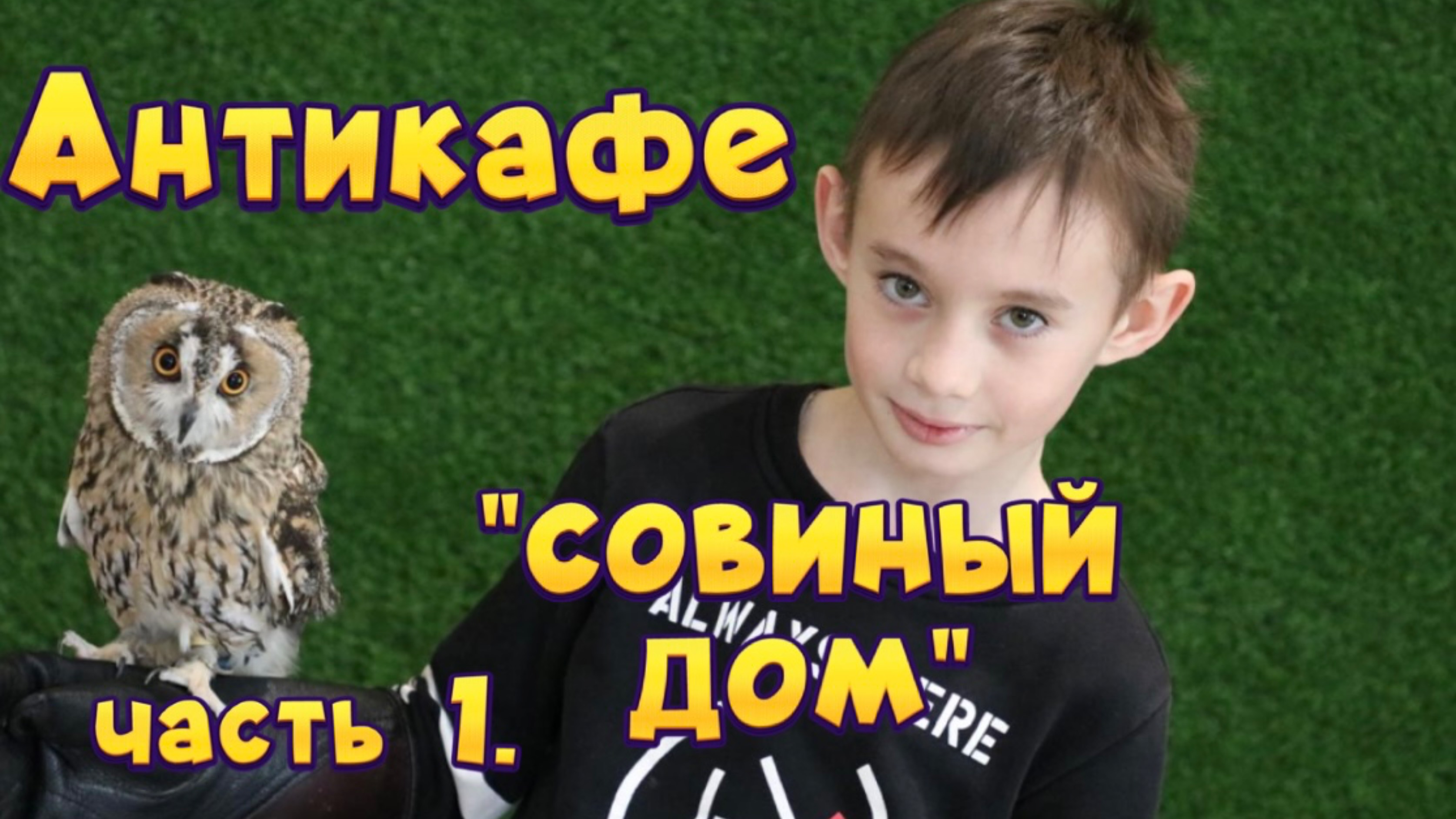 Антикафе «Совиный дом». Часть 1.🦉❤️
