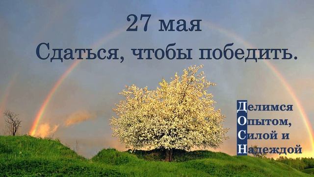 27 мая. Сдаться, чтобы победить.