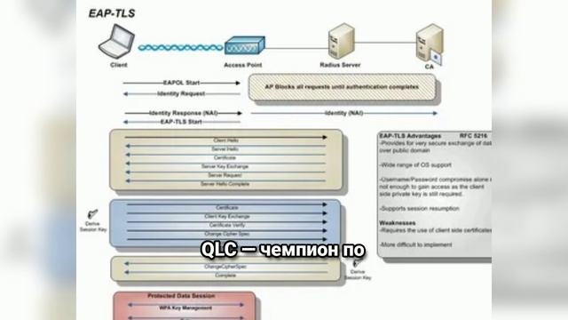 SSD для дома и бизнеса: Какой выбрать? SLC, MLC, TLC или QLC — вся правда!
