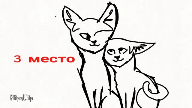 Котики которые требуют имени и окраса!